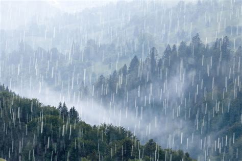 下大雨图片|100000 多张免费的“下大雨”和“雨”照片